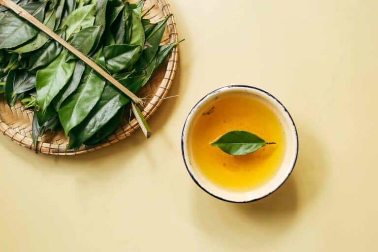 What Happens to Your Immune System When You Drink Green Tea