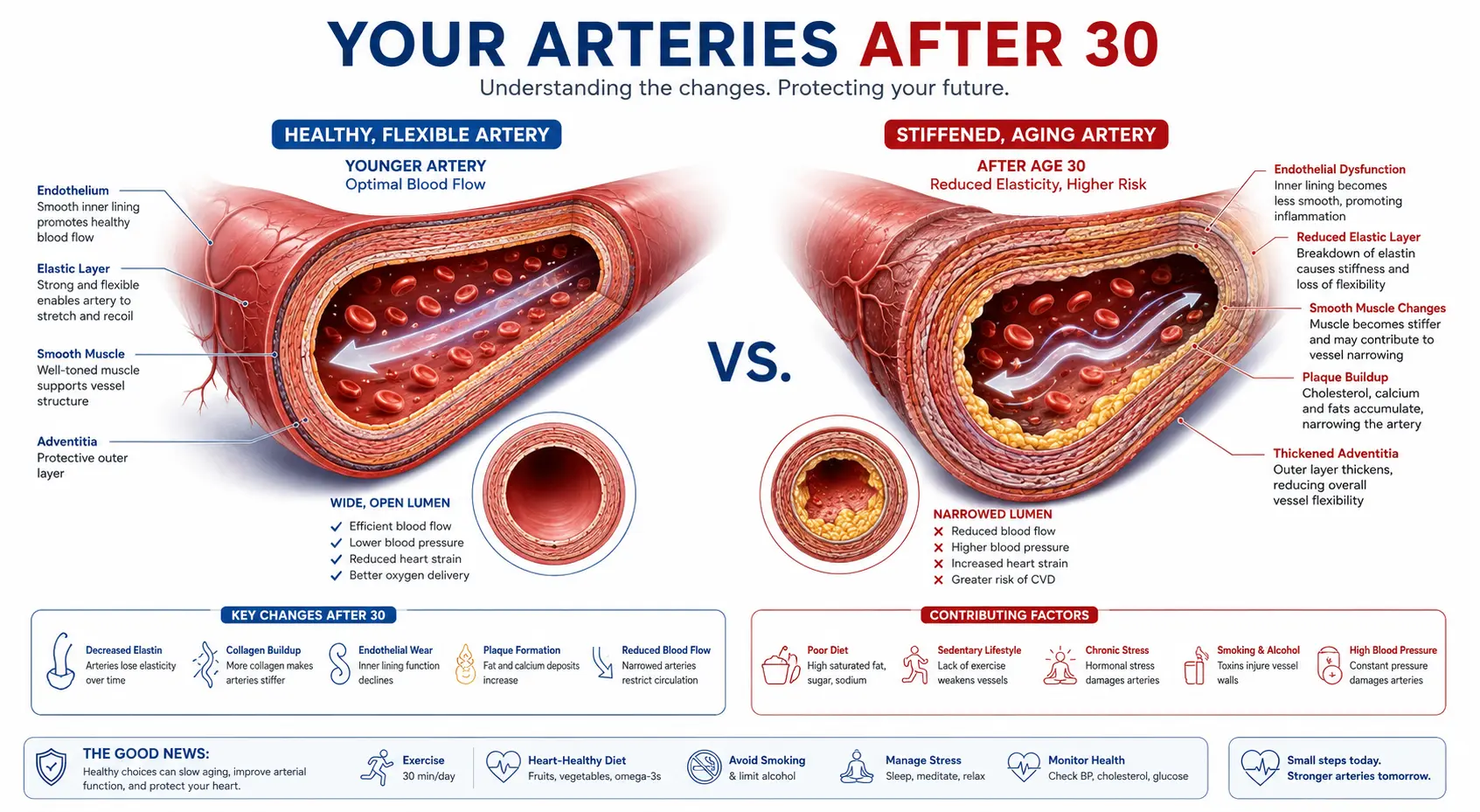 Blood Pressure After 30: What’s Really Happening to Your Body (And How to Fix It)
